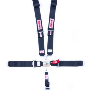 5-PT Harness System LL P/D B/I Ind 55in