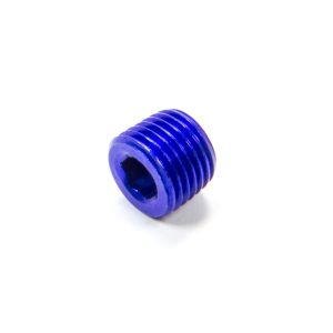 1/4 MPT Allen Pipe Plug