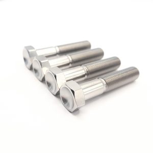 Torsion Arm Pinch Bolt Kit
