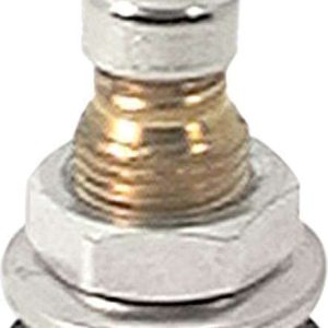Brass Valve Stems Bolt In 10pk